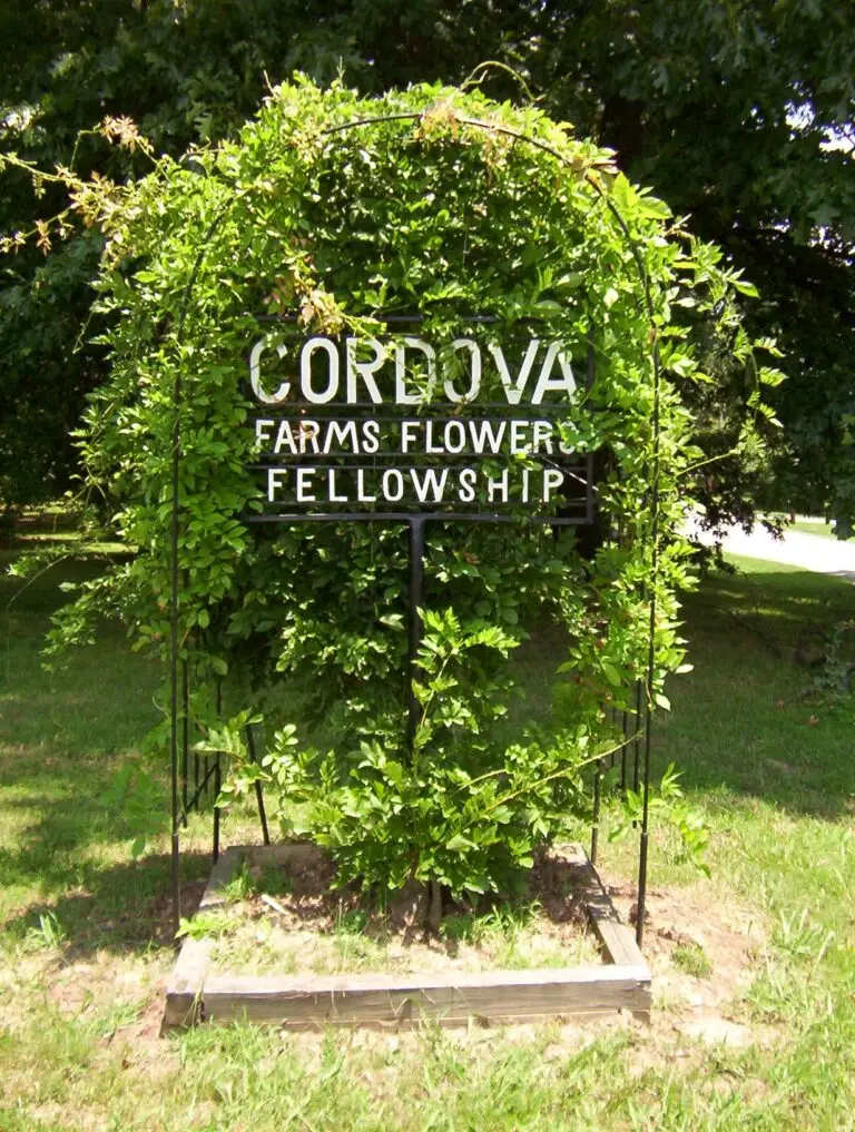 cordova sign for No Limit Roofing gutter installation, exterior home repairs and improvements, roofing, and storm damage in Cordova, TN