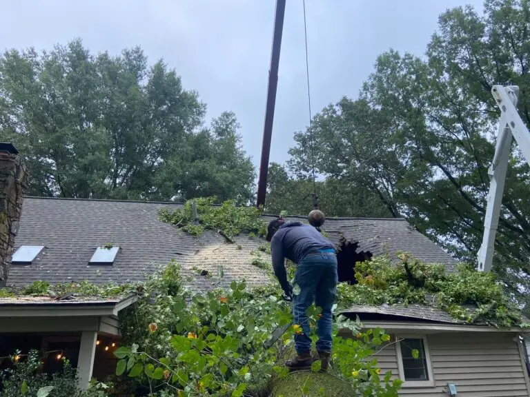 tree fell on home in Germantown, TN during storm