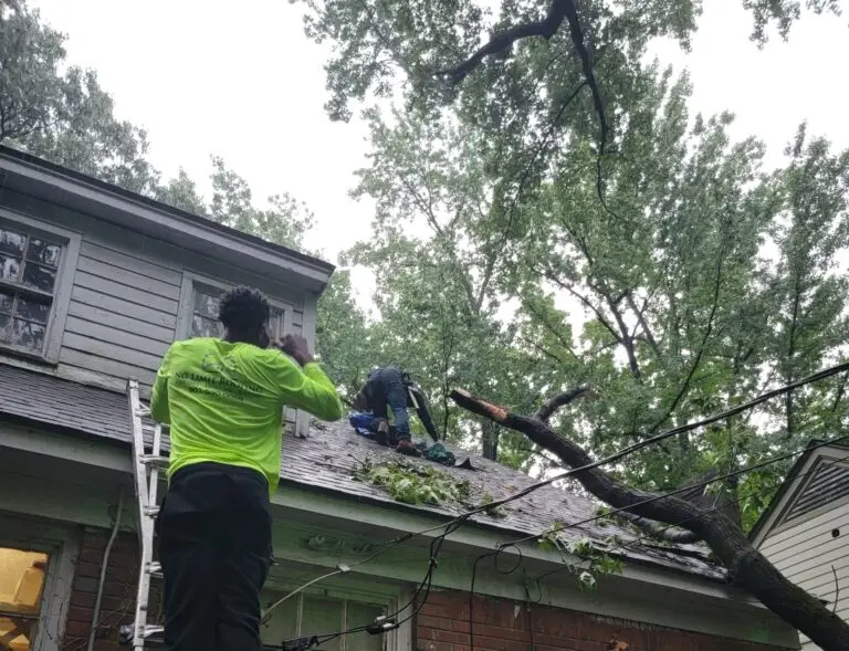 no limit roofing emergency tarp service-storm damage