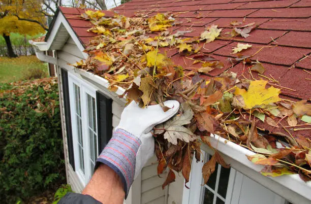 fall gutter cleaning