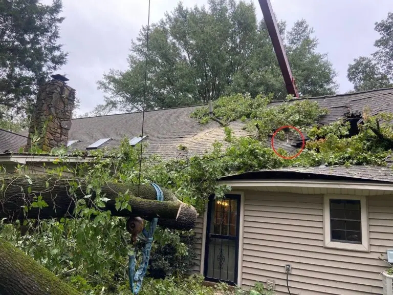 tree damage from storm in Germantown, TN handled by no limit roofing